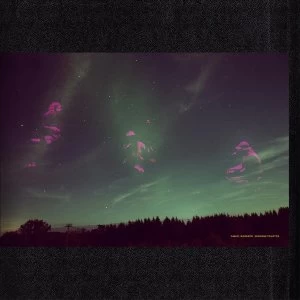 Image of Daniel Norgren - Skogens Frukter Vinyl