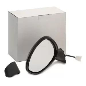 Image of RIDEX Wing mirror FIAT,ABARTH 50O0365 735410640,735413382,73541338273541338273 73544528835,735465561,735539385,735596878,735596881,735596884