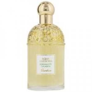 Image of Guerlain Aqua Allegoria Bergamote Calabria Eau de Toilette Unisex 125ml