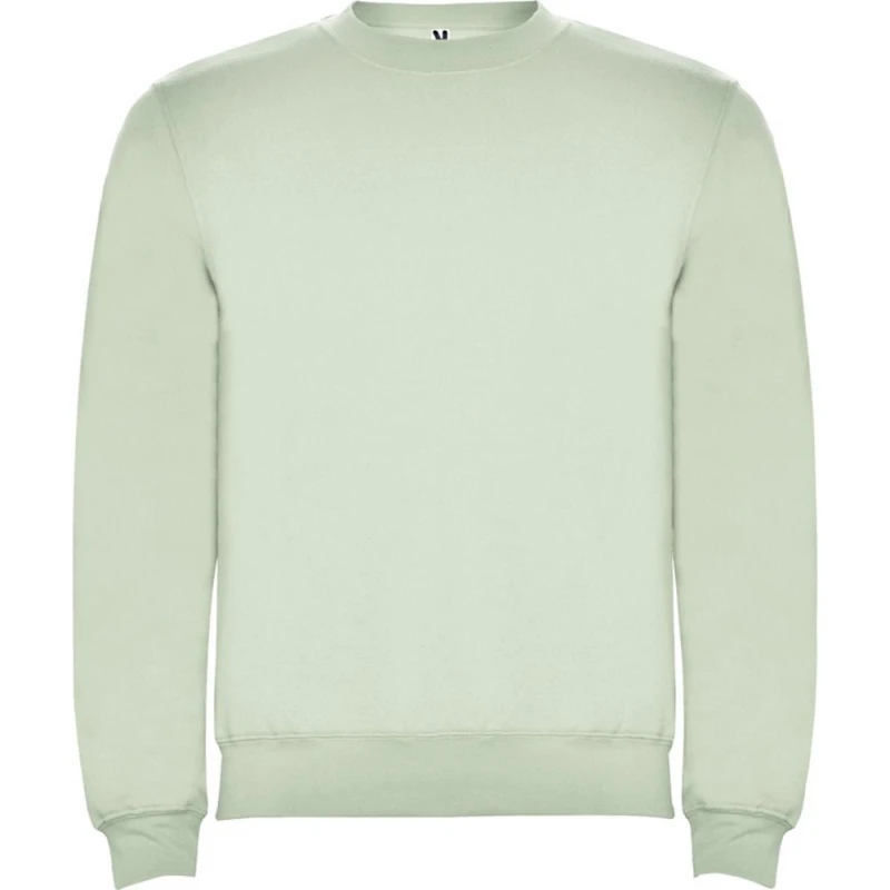 Image of ROLY ROLY Men Clasica Crew Neck Sweatshirt in Light Green Size: X-Small Light Green XS Male 5063574400510