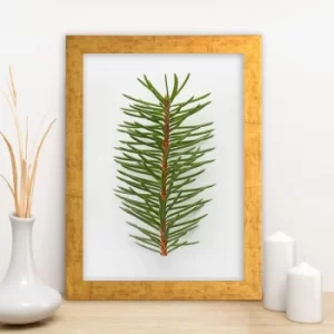 Image of AC7406288862 Multicolor Decorative Framed MDF Painting