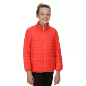 Image of Regatta Girls Junior Hillpack Lightweight Padded Jacket Coat 15 Years - Chest 86-98cm (Height 164-170cm)