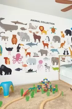 Image of Animal Collection Multi Matt Smooth Paste the Wall Mural 350cm wide x 280cm high