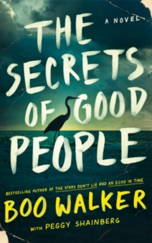 Image of The Secrets of Good People : A Novel Hardback