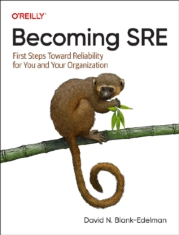 Image of Becoming Sre : First Steps Toward Reliability for You and Your Organization Paperback / softback