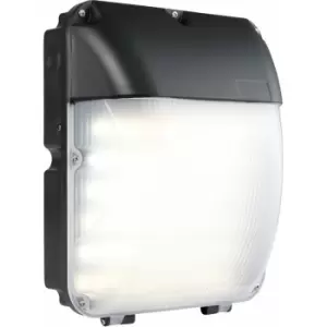 Image of Outdoor IP65 Bulkhead Wall Light - 30W Cool White LED - Weatherproof Lamp