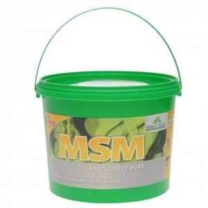 Image of Global Herbs MSM Pure Supplement