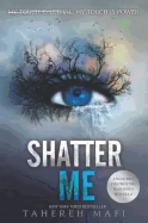 Image of shatter me