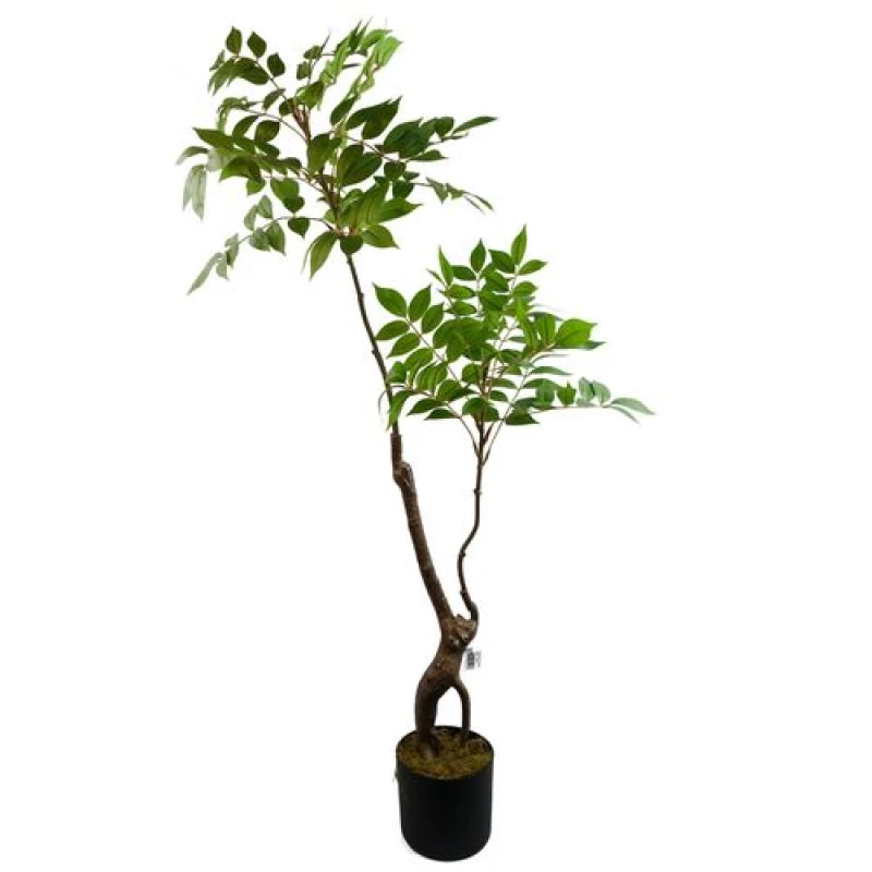 Image of Leaf 110cm Artificial Toona Sinensis Tree Evergreen