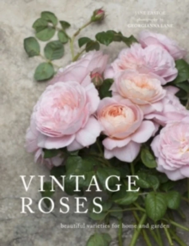 Image of Vintage Roses : Beautiful varieties for home and garden Hardback
