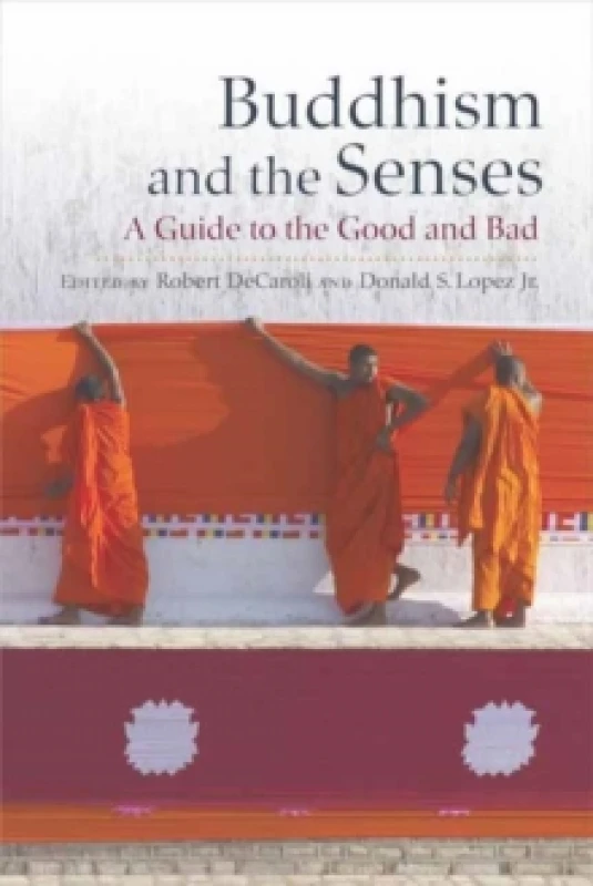 Image of Buddhism and the Senses : A Guide to the Good and Bad Hardback