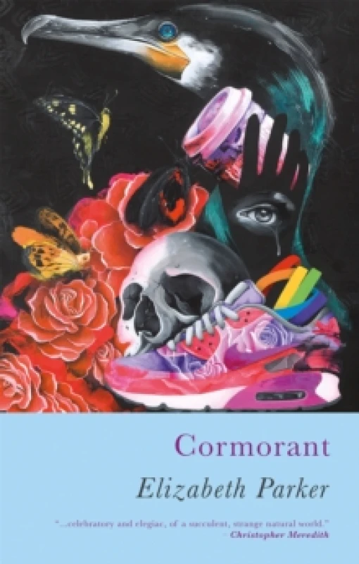 Image of Cormorant Paperback / softback