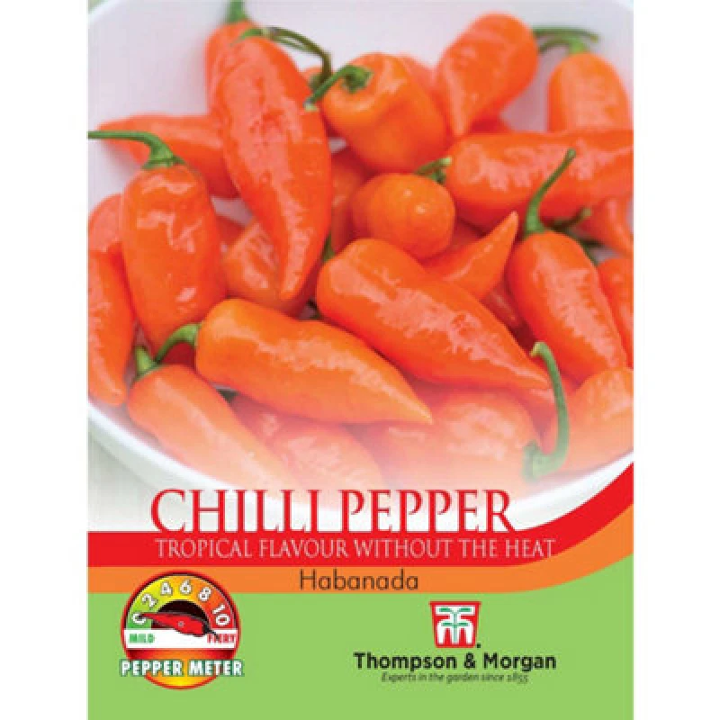 Image of Thompson & Morgan Chilli Pepper Habanada 1 Seed Packet (5 Seeds)