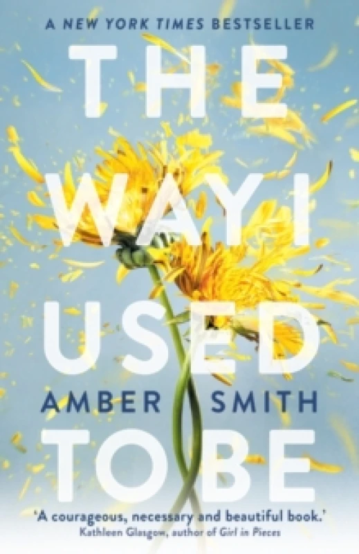 Image of Amber Smith The Way I Used to Be Book Multi unisex