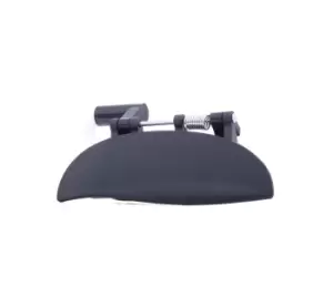 Image of RIDEX Door Handle HYUNDAI 1373D0088 8266002000,8266002100