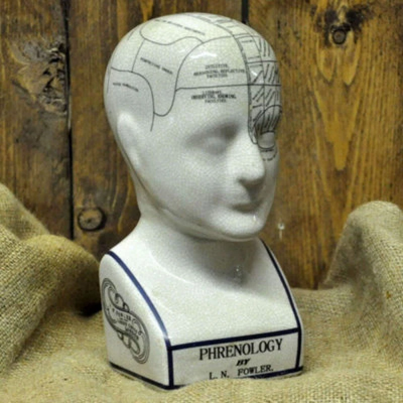 Image of Minster Phrenology Crackle Head Ornament 12"
