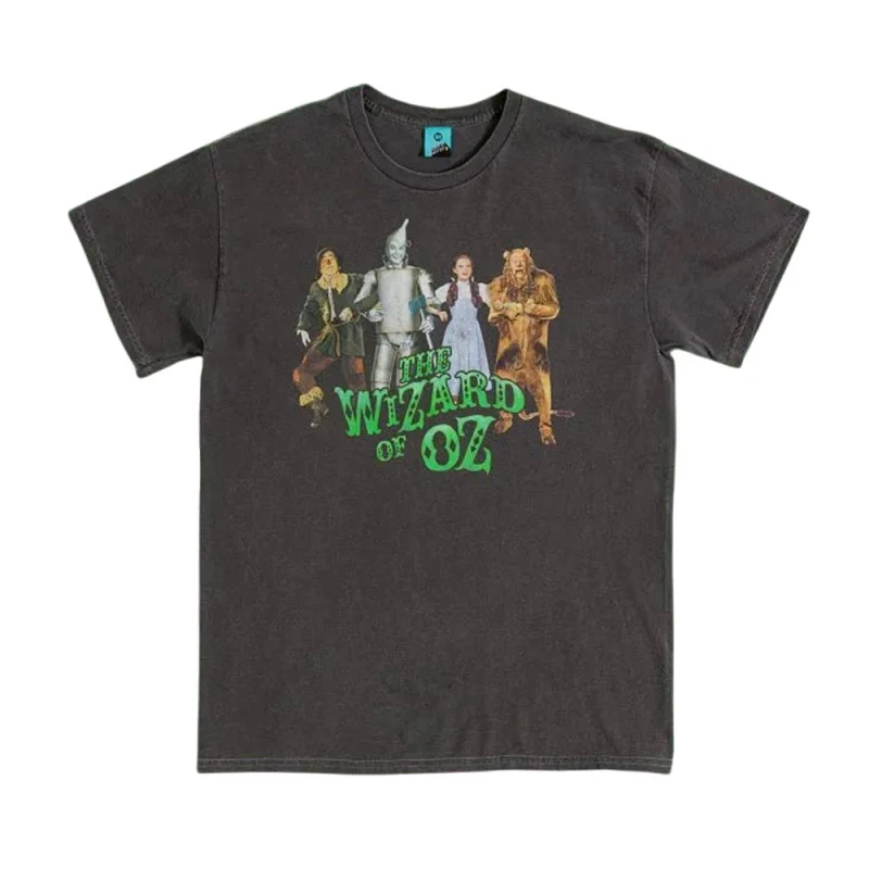 Image of The Wizard of Oz Mens Line Up Vintage Wash Back Print T-Shirt in Charcoal Size: Medium Charcoal Male M
