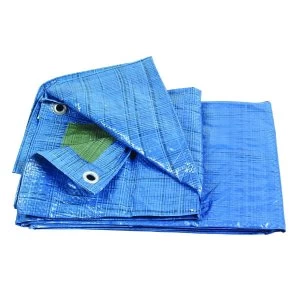 Image of Wickes Multi Purpose Tarpaulin - 2 x 3m