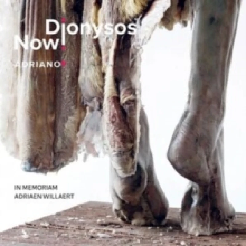 Image of Dionysos Now!: Adriano 5: In Memoriam Adriaen Willaert CD / Album