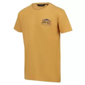 Image of Regatta Cline VII Short Sleeve Tshirt - Gold Straw