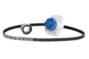 Image of SKF Water Pump + Timing Belt Kit VKMC 02203 FIAT,LANCIA,PANDA (169),PUNTO (188),Doblo Cargo (223_),Doblo Kombi (119_, 223_),PUNTO (176)