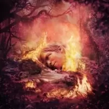 Image of SZNZ: Summer