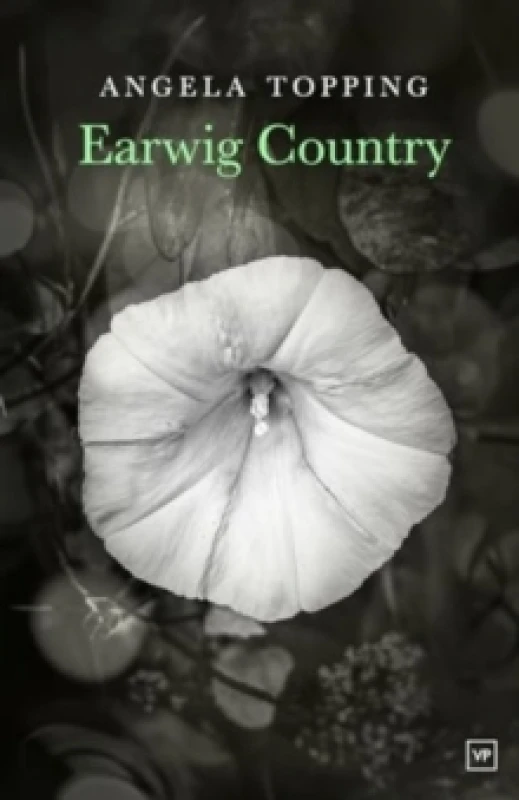 Image of Earwig Country Paperback / softback