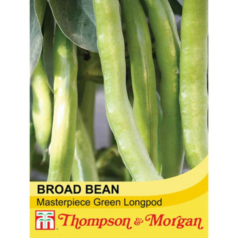 Image of Thompson & Morgan Broad Bean Masterpiece Green Longpod 1 Seed Packet (30 Seeds)