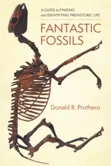 Image of Fantastic Fossils : A Guide to Finding and Identifying Prehistoric Life