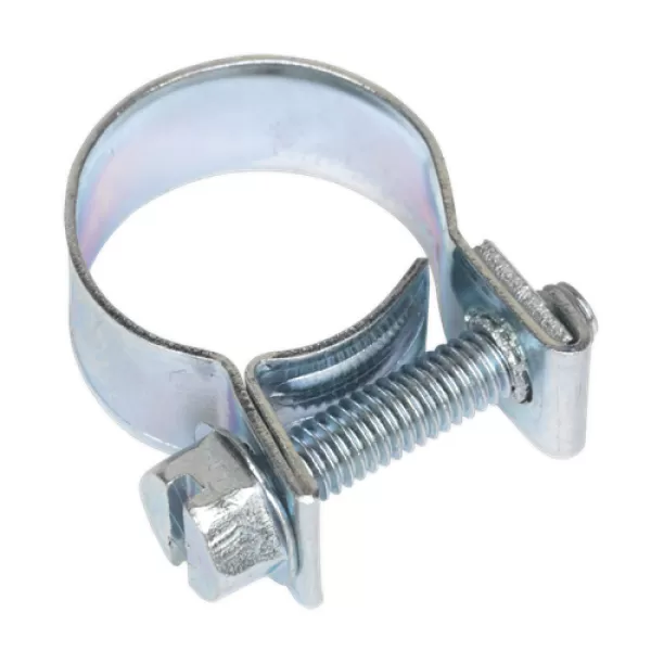 Image of Genuine SEALEY MHC1416 Mini Hose Clip Ø14-16mm Pack of 20