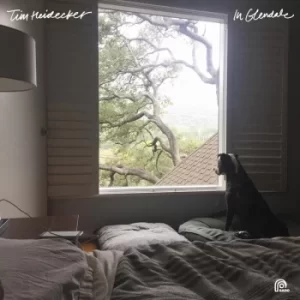 Image of Tim Heidecker &lrm;- In Glendale Vinyl