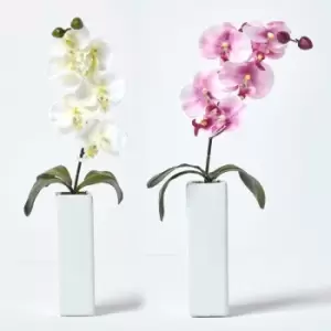 Image of Homescapes - Set of 2 Artificial Pink & Cream Orchids in Thin Cream Vases, 43 cm
