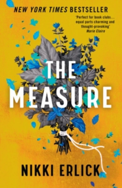 Image of The Measure. Paperback. By Nikki Erlick Books