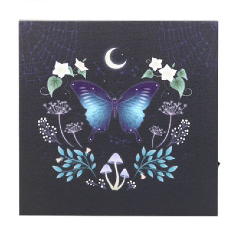 Image of Something Different Something Different Midnight Moth Light Up Canvas Multi One Size Unisex 5063574821155