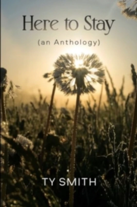 Image of Here to Stay (an Anthology) Paperback / softback