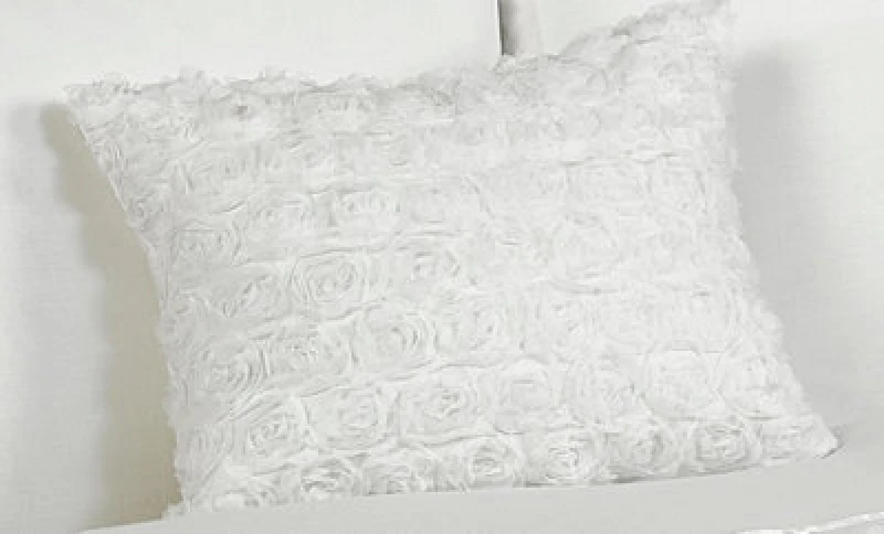 Image of Rapport Home Limoges Boudoir Cushions Cover