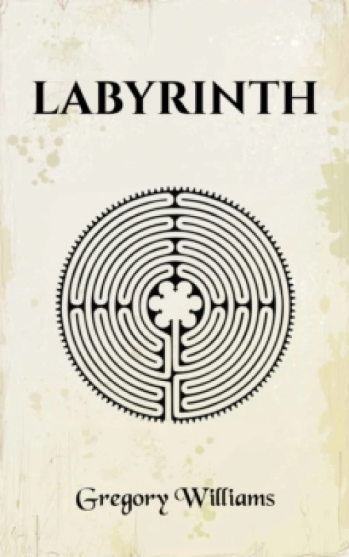 Image of Labyrinth Paperback / softback