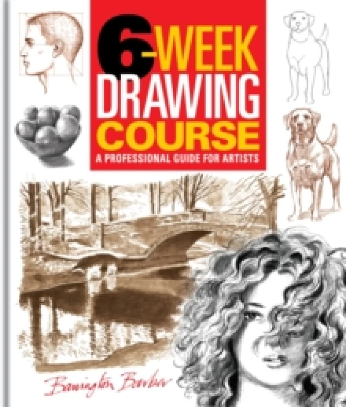 Image of 6-Week Drawing Course : A Professional Guide for Artists Paperback / softback