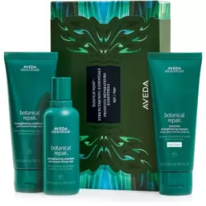 Image of Aveda Botanical Repair Strengthening Essentials: Light gift set