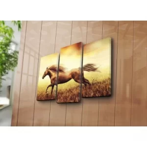 Image of 3NATPAT-28 Multicolor Decorative Canvas Painting (3 Pieces)