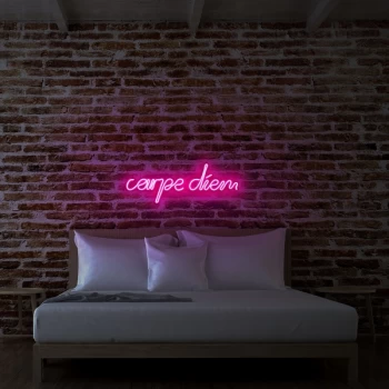 Image of Carpe Diem - Pink Pink Wall Lamp
