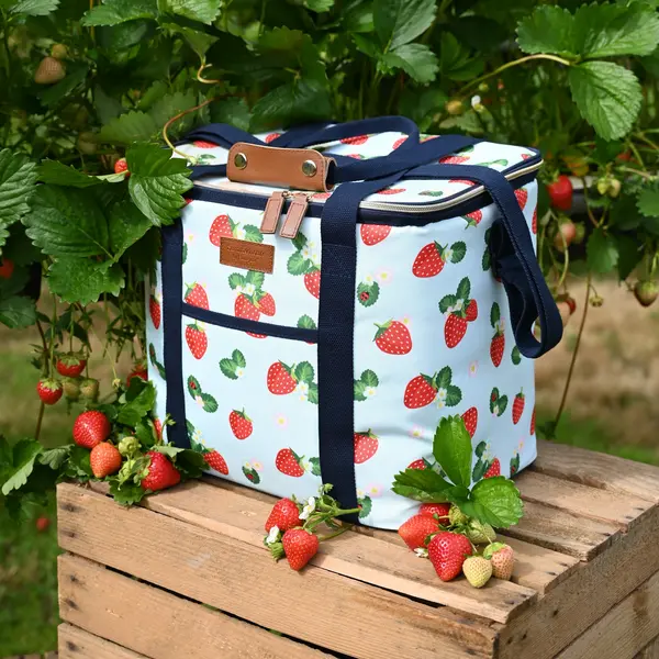 Image of Strawberries & Cream Insulated 20 Litre Family Sized Picnic Cool Bag Aqua