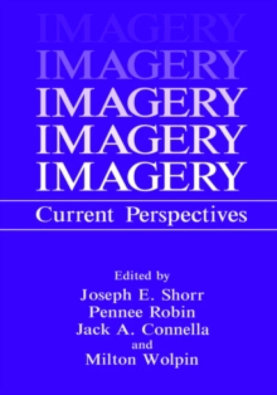 Image of Imagery : Current Perspectives Hardback