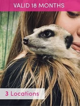 Image of Activity Superstore Meerkat Encounter For Two