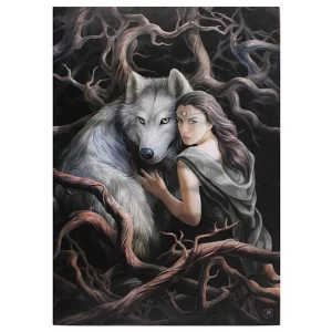 Image of Large Soul Bond Canvas Picture by Anne Stokes