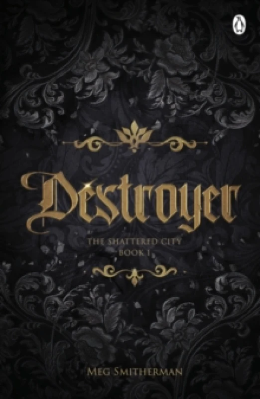 Image of Destroyer Paperback / softback