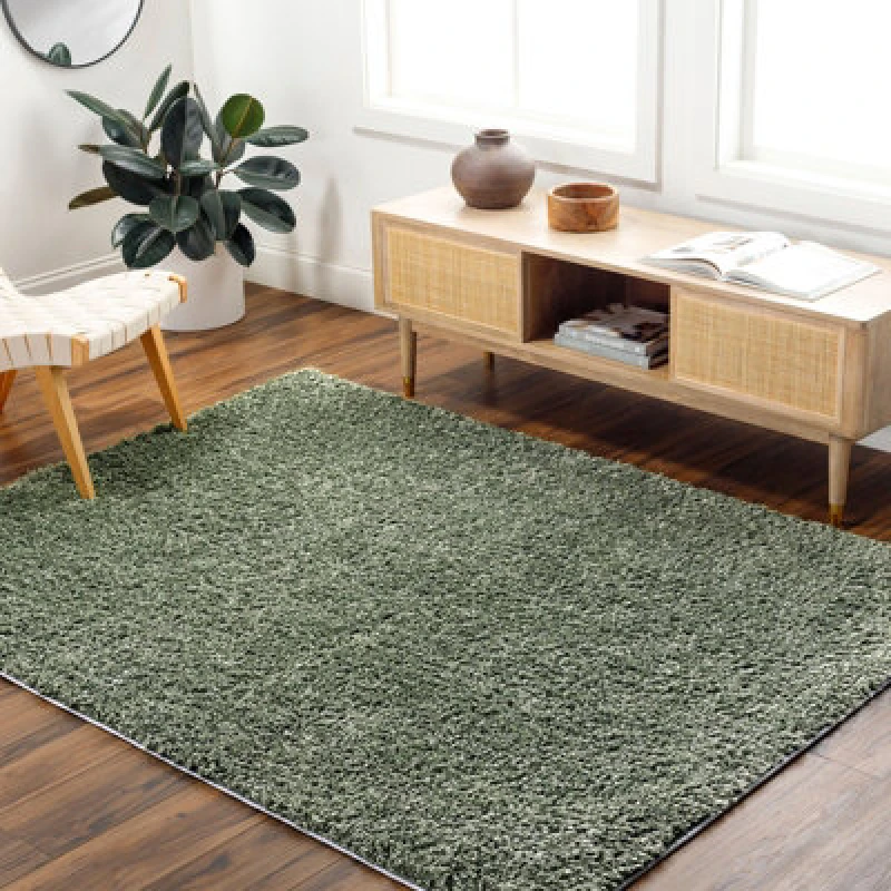 Image of Livabliss Shaggy Solid Color Plush Pile Green Soso Area Rug 120 X 180 Cm - Easy Care, Non Shedding, Ideal For Living Room & Bedroom