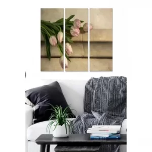 Image of MDF11391 Multicolor Decorative MDF Painting (3 Pieces)