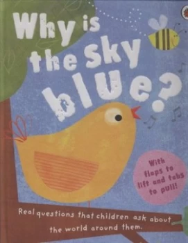 Image of Why Is the Sky Blue by Geraldine Taylor and Amy Schimler Book
