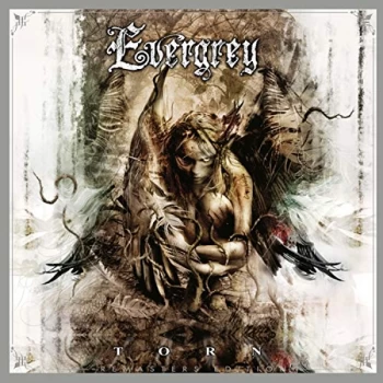 Image of Evergrey - Torn Vinyl